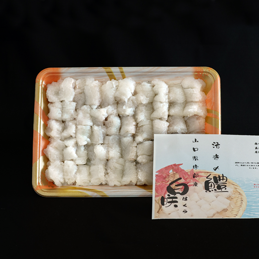 活き鱧　白咲